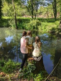 La mare est l'endroit idéal pour observer la biodiversité.