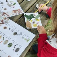 Photo d'un atelier de sensibilisation à la nature.